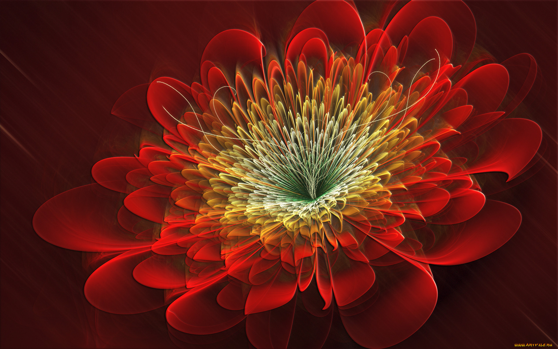 3d, 3, , flowers, , 
